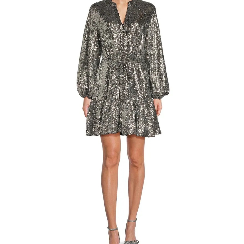 Elegant Silver Sequin Dress
